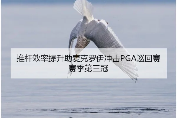 推杆效率提升助麦克罗伊冲击PGA巡回赛赛季第三冠
